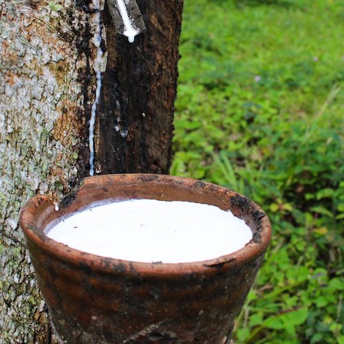 Qu'est-ce que le latex 100% naturel ?